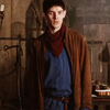 servantofarthur: (merlin365_anabiotic)