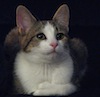 michelel72: Suzie (Default)