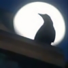 crowsilike: Crow silhouetted against the moon (Default)