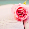 serpentine: a book with a pink rose on it (Writing - Rose on book)