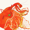 sushiflop: (Default)