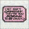 crimsonquills: (CanadianFromComics)