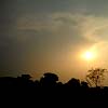 toujours_nigel: sunrise over silhouetted trees (nature)