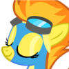 former_wonderbolt: (pic#5250619)