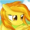 former_wonderbolt: (pic#5250623)