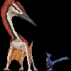 pterosaur: (A mild and most bewildered little shade)