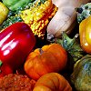 the_shoshanna: colorful gourds and squashes (gourds)
