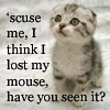 subluxate: (Animal: Lost mouse)