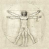 arduinna: Leonardo da Vinci's Vitruvian Man (da Vinci - Vitruvian Man)