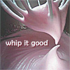 sarah: (whip it)