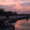 gerald_duck: (sunset)