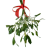 heaaarts: (mistletoe)