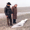 likewatson: (laura palmer)