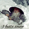 malinaldarose: (hate_snow)