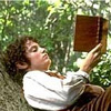 malinaldarose: (frodo_reading)