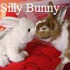 pumpkin_tart: (Silly Bunny)