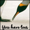 bardic_lady: (penguins - you have toes)