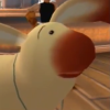bumbling_baku: (Full attention)