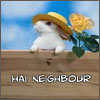 keieeeye: (hai neighbour)