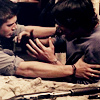 green_apples: (winchester)