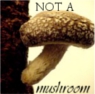 yarngeek: I am NOT A MUSHROOM (not a mushroom)