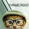 em_kellesvig: A kitten in a hat with glasses text: Dangerous (KittenDangerous)
