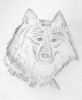 grey_and_furry: grey wolf (grey and furry)