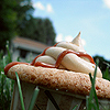 themeletor: close-up of a cupcake in the grass against a blue sky (sometimes i make food, wild pastry)