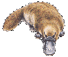 supergee: (platypus)