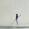 icy: a silence like this. (never known.)