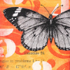ex_we935: A black-and-white butterfly on an orange background. (Lilly - Butterfly)