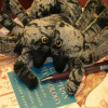 spoke: spider with a pen on a book (delicious books!, spider)