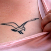 tamara_russo: (Seagull Tattoo)