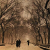 jaebility: (nyc // central park)