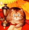 lenarudenko: (кот читает)