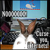 pantswarrior: Pepper the bunny is horrified by Twitter's fail-whale. (pepper)