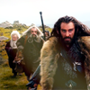 heirofdurin: (Thorin's Company)
