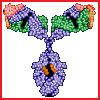 reginagiraffe: An antibody molecule (Antibody)