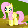 Fluttershy