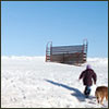 quigonejinn: (hornblower - cold days in wisconsin)