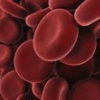 jesse_the_k: Extreme closeup of dark red blood cells (Blood makes noise)