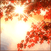 shirebound: (Autumn)