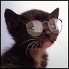 nazz88: coolcat (Default)
