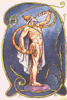 hearthstone: (heimdall)