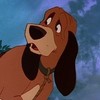 ahounddog: (pic#5490294)