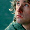 nothalf: (confused pippin)