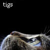 tigs: (Default)