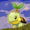 quakekid: ([Turtwig] Ready)