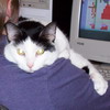 awfulhorrid: (Over the Shoulder Bella)