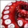 tentaclebigbang: by <user name=bironic site=livejournal.com> (red)